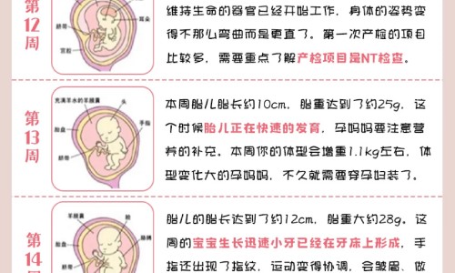 脸上有老人斑该吃什么保健品网 - 为你提供老人斑要吃什么东西才能改善、脸上有老人斑该吃什么保健品呢
